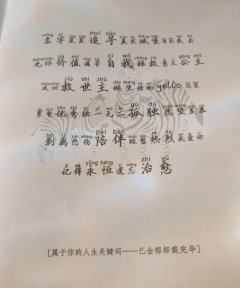 杨桃小姐,我会永远陪伴您
体验了最近的新本斑马还没睡,文笔