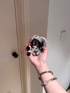 抱抱小动物系列·🐶
马尔济斯and边牧