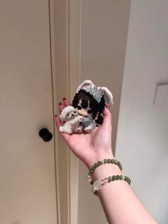 抱抱小动物系列·🐶
马尔济斯and边牧