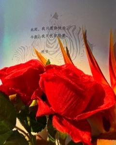 “以永恒的陪伴，来抵抗永恒的孤独。”

角色：夏霓
DM：浩