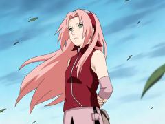 额，对，又是春野樱