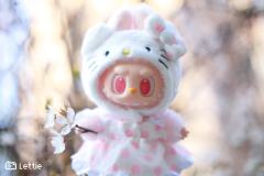 看花花的KittyLabubu🌸