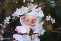 看花花的KittyLabubu🌸