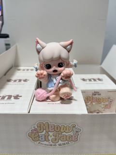 彻底被Baby Zoraa喵呜·猫颜社系列拿捏了🐾

端盒