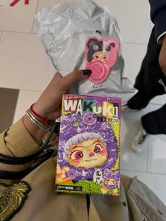 虞书欣同款滴角落撕裂熊，全新未拆封WAKUKU手工世界系列盲