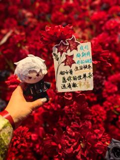 今天参加了线下活动！超级开心的！大家都好好，秦彻，你看，大家