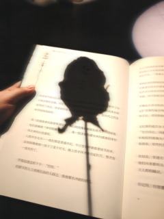 爱是蚀骨锈病,是疼痛与绚烂的共生。
是锈蚀的玫瑰,在溃烂处生