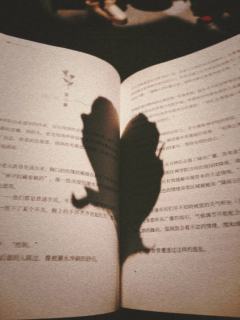 爱是蚀骨锈病,是疼痛与绚烂的共生。
是锈蚀的玫瑰,在溃烂处生