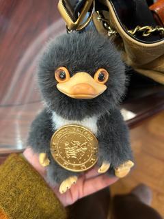 昨天在门店想要抱金币的就抽到抱金币的，晚上回家还想要个咖啡的