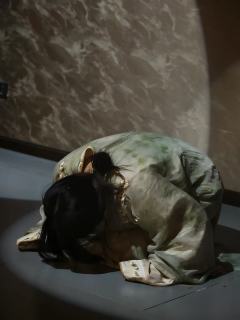 “一般乱的我不屑一顾，乱成这样我确实忍不住”
剧本类型：古风