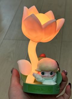 蹲了好几天抢到一个小夜灯   没想到是隐藏款！
流水性亮灯太
