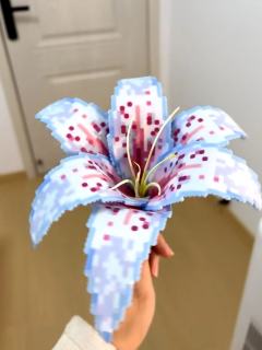 报告！拼豆选手已上线❗❗

这朵百合直接焊在我的成就感榜上！