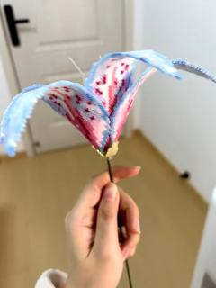 报告！拼豆选手已上线❗❗

这朵百合直接焊在我的成就感榜上！