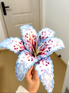 报告！拼豆选手已上线❗❗

这朵百合直接焊在我的成就感榜上！