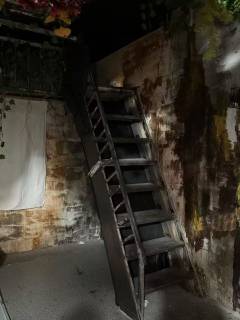 《降临》密室游玩体验
踏入《降临》密室的瞬间，幽冷的灯光与诡