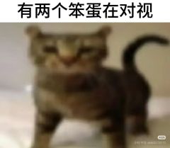 就是像我这样复制这个文案去骗你点进来嘿嘿嘿，感谢路赞