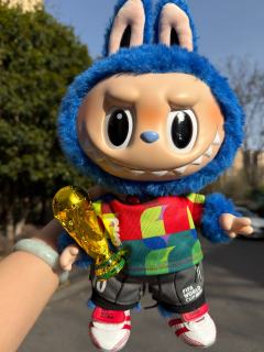 也是拥有了蓝盆友了 labubu*FIFA 蓝色的毛手感软糯