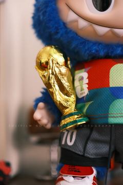 今年的世界杯有labubu陪伴
你支持的球队是哪支呀？