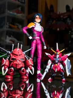 来自机动战士高达﻿seed里的阿斯兰·萨拉，出自SHF系列，