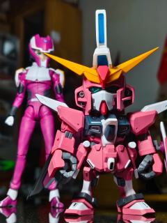 来自机动战士高达﻿seed里的阿斯兰·萨拉，出自SHF系列，