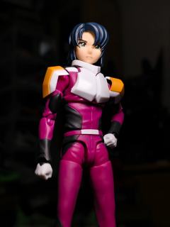 来自机动战士高达﻿seed里的阿斯兰·萨拉，出自SHF系列，