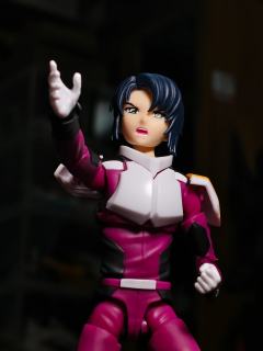 来自机动战士高达﻿seed里的阿斯兰·萨拉，出自SHF系列，