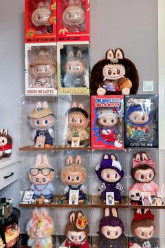 欢迎新人加入🎉