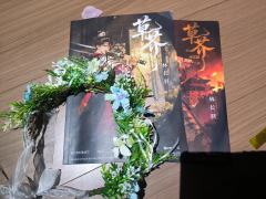 《草芥》——一个拥有“大底”的情感本

体验时间：2026年