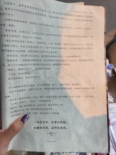 华子不好玩🚫
文本:很平的文笔,看了两本没记住几句话
人设