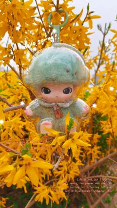 Dimoo的春日彩色大片！花中的小宝儿太可爱啦，宝宝你是不是