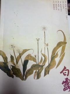 我真的一直在哭｜红豆🫘
【一点点剧透】 dm：雁琼
哇塞。