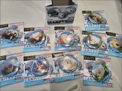 30多买的！震惊了！是不是正的呀宝宝们