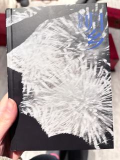 【野菩萨｜归乡雷点多的慎重拿 吃救赎线可选】

心测车就是如