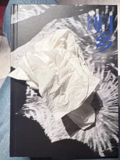 【野菩萨｜归乡雷点多的慎重拿 吃救赎线可选】

心测车就是如