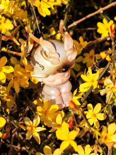 DIMOO和春天的适配度100%
