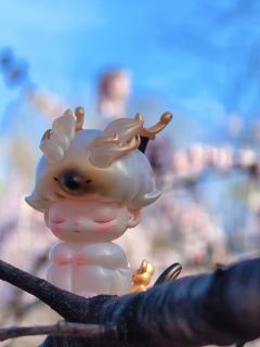 DIMOO和春天的适配度100%
