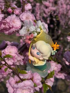 带着dimoo去赏花🌸
春天就是要开心(◍•ᴗ•◍)