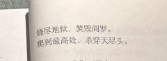 野菩萨渡渡我 到底whatislove??
非常非常非常幸