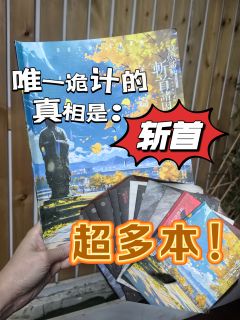 斩去的头颅里藏匿着所有的真相，请开始你的推理吧！
剧本：双炽