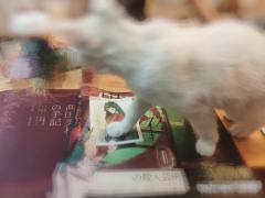 【无剧透，可放心食用】

🌈"路上总是孤独的，登上山顶才能