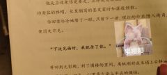 今天工作很忙，零碎抽写剧评
就如好评没有，差评倒是很多
大多