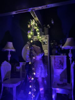 水仙
✨你终于还是爱上了那镜花水月反射出的卖弄。✨
✨我心