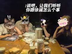 【含剧透】
📖体验剧本：《蛰伏》
🌎体验店家：  @回溯