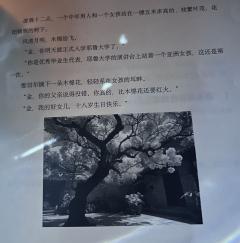 💞“金,你才是天空的灯会”
谁能抵抗的了这句话啊
没有人!