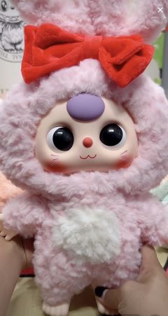 预定娃三岁1000体兔子！