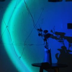 小时候，我们词不达意
长大后，我们言不由衷

体验角色：秦璇