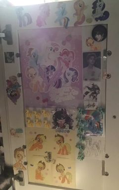 09年出生 10年开看 13年开始购入玩具 14年真正爱上