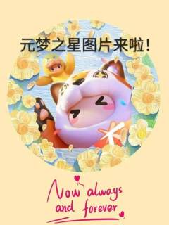 元梦之星头像！