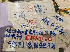 『我是蟪蛄的末代上官,我与蟪蛄同寿』
盼望着盼望着,迎来了