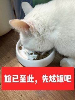 
脚写出的本，不用带脑玩。

粉灯的版本红利，
终成时代的眼